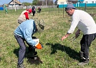 Волонтеры ЦДУМ России благоустроили территорию мечети