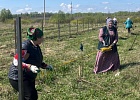 Волонтеры ЦДУМ России благоустроили территорию мечети